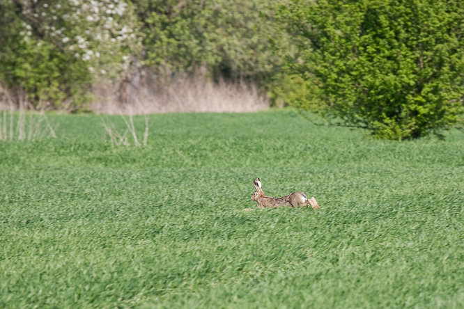 Fotografie aus der Serie »Local Nature Reserves«