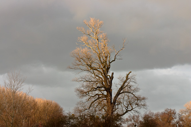 Fotografie aus der Serie »Local Nature Reserves«