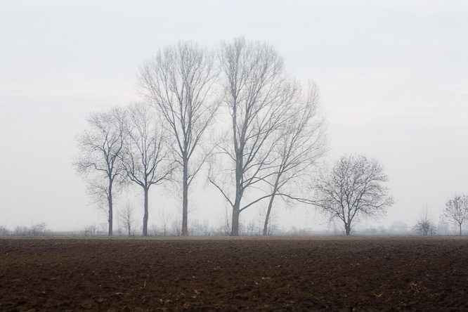 Fotografie aus der Serie »Local Nature Reserves«
