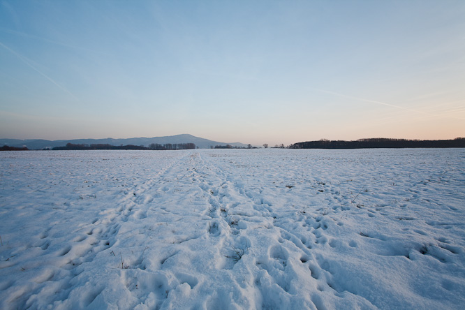 Fotografie aus der Serie »Local Nature Reserves«