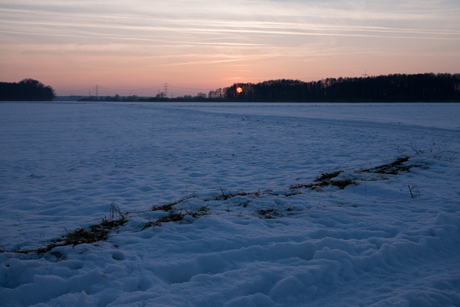 Fotografie aus der Serie »Local Nature Reserves«