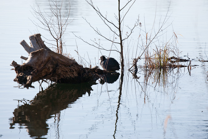 Fotografie aus der Serie »Local Nature Reserves«