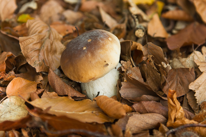 Fotografie aus der Serie »Local Impressions«