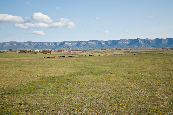 Fotografie aus der Serie »USA National Parks«