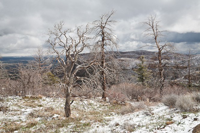 Fotografie aus der Serie »USA National Parks«